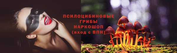 гашик Белоозёрский