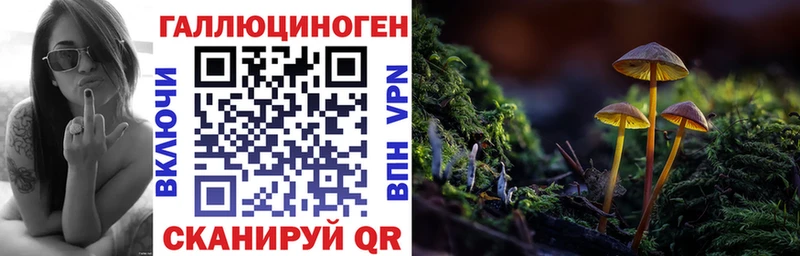 Псилоцибиновые грибы ЛСД  Новочеркасск 